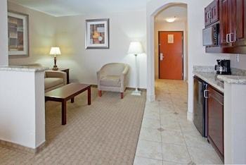 Holiday Inn Express Hotel & Suites College Station