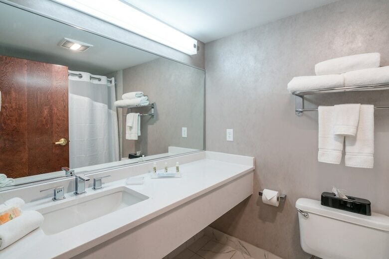 Hotel Holiday Inn Wilmington
