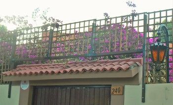 D'osma Bed & Breakfast