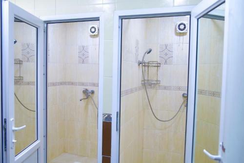 Hostel Dom