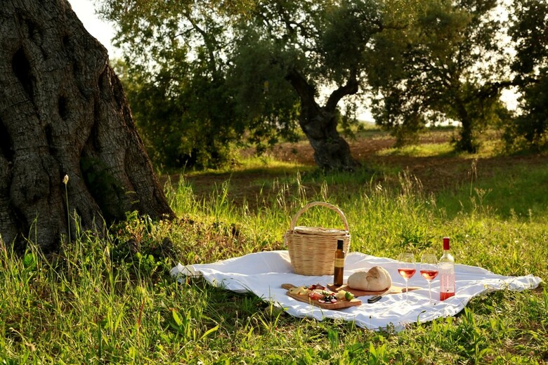 Hotel Fazenda Nova - Country House