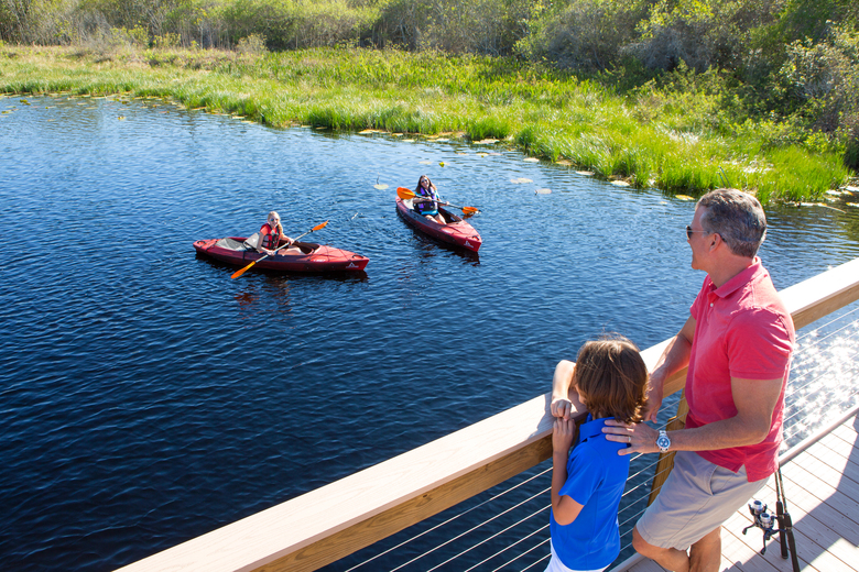 Hotel The Grove Resort & Spa