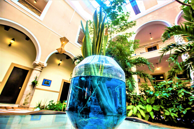 Hotel M�rida