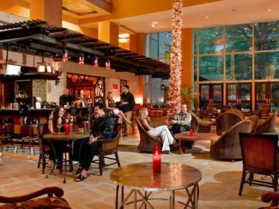 Hotel Contessa