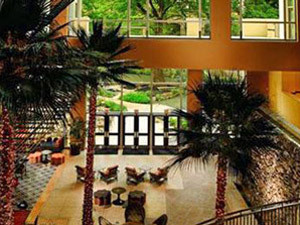 Hotel Contessa