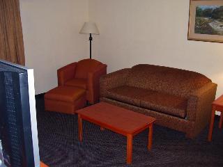 Hotel Comfort Inn & Suites Airport