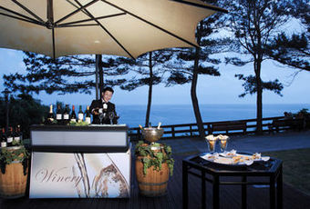 Hotel Lotte
