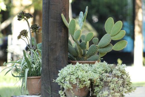Bed & Breakfast Las Glicinas De Chacras