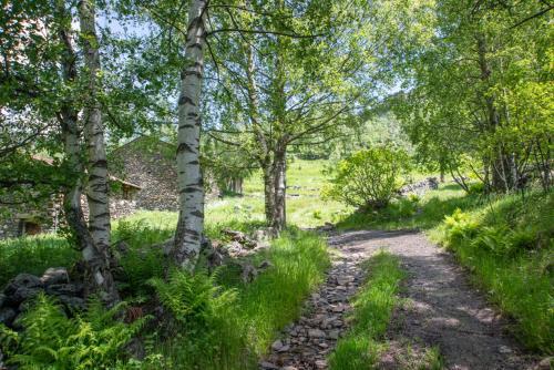 Apartamento Pic Negre Tarter