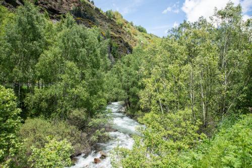 Apartamento Pic Negre Tarter