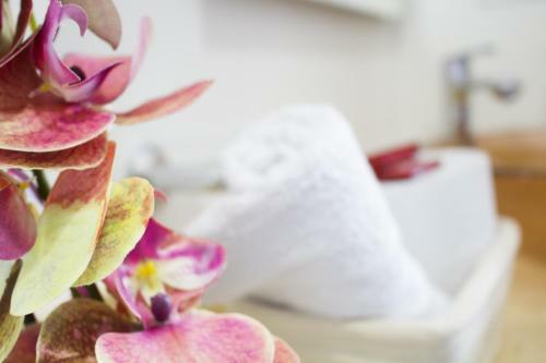 Apartamentos Soho Style - Frente Al Mar Ctg