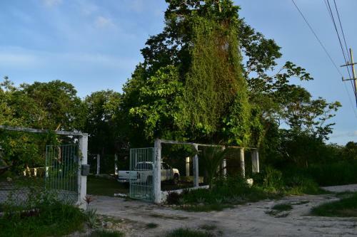 Albergue Casa Maya Blue