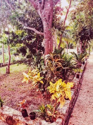 El Roble Hotel Nature