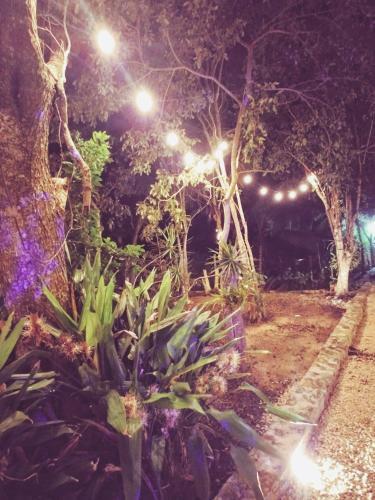 El Roble Hotel Nature