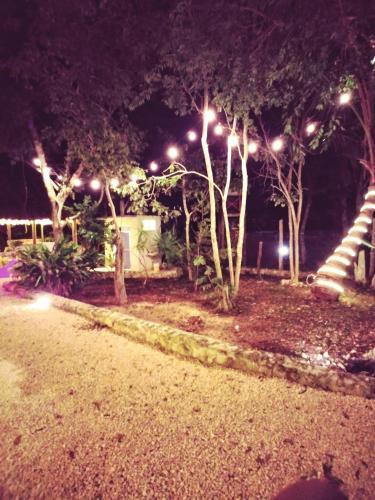 El Roble Hotel Nature