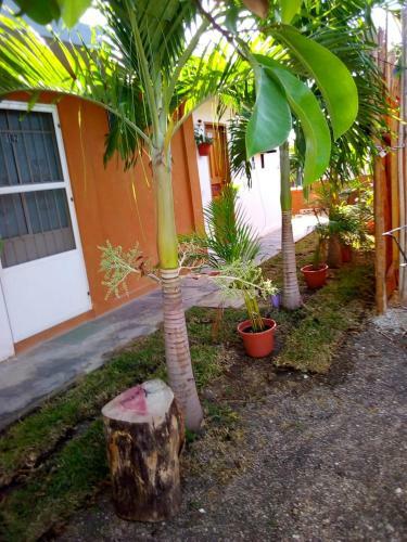 Casa Particular