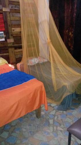 Bacalar Camping "el Arbol de La Vida"