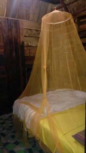 Bacalar Camping "el Arbol de La Vida"