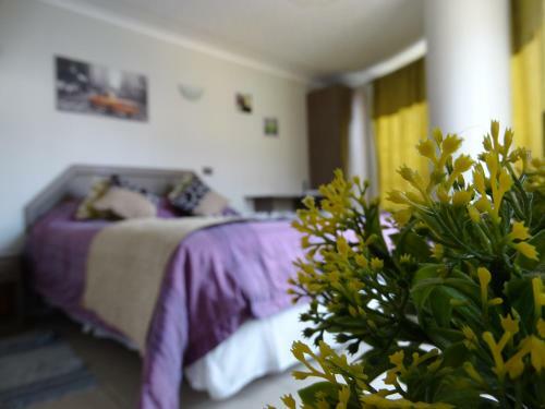 Albergue Hostal Quinta Normal