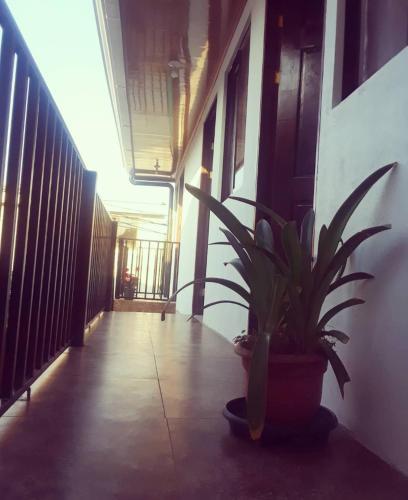 Las Americas Apartment