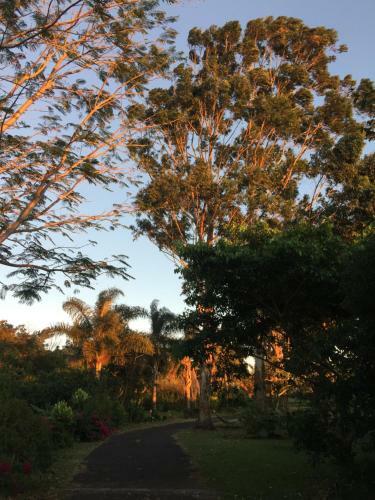 Hostel & Campamento Cafeaventura