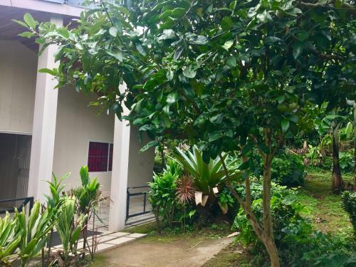 Hostel & Campamento Cafeaventura