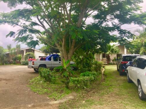 Hostel & Campamento Cafeaventura