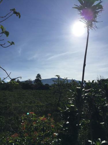 Hostel & Campamento Cafeaventura