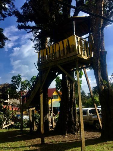 Hostel & Campamento Cafeaventura