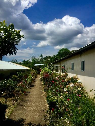 Hostel & Campamento Cafeaventura