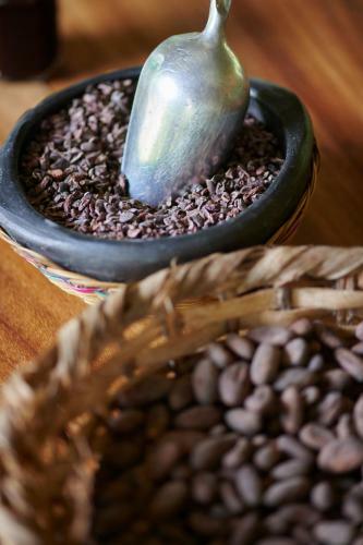 Finca Amistad Cacao Lodge