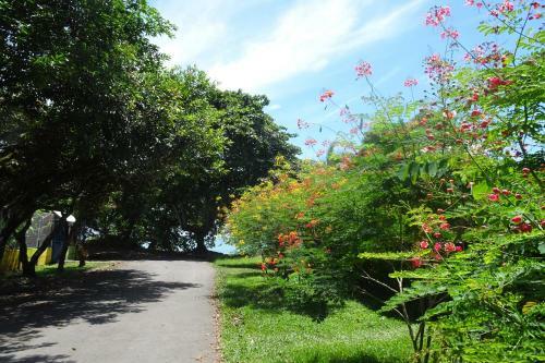 Apartamento Brisas Del Mar