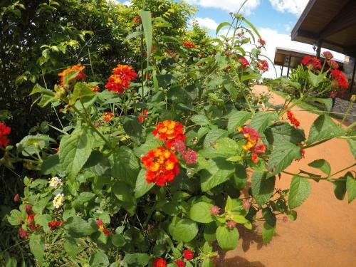 Lodge Caba�as Sue�os Del Arenal