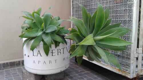 Hotel La Tertulia