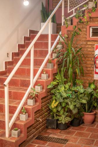 Posada Hosteria Col�n