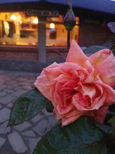 Posada Elen Hosteria Casa De T�