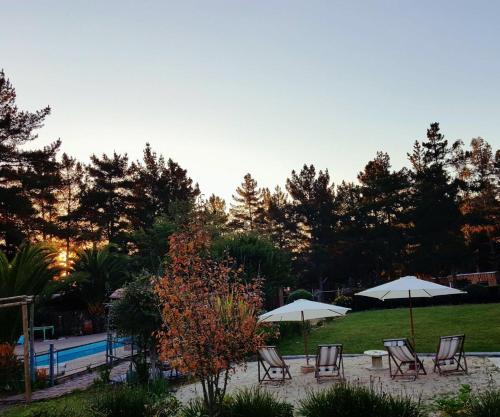 Lodge Caba�as Casa T�tem