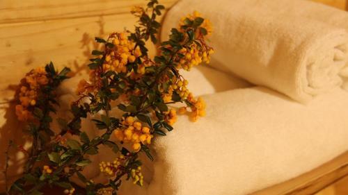 Bed & Breakfast Cielo Y Tierra Hostal Refugio De Monta�a