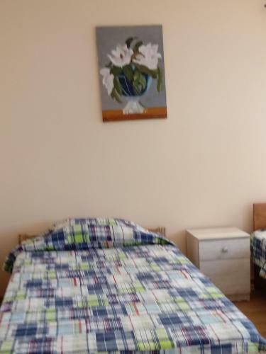Hostal Hospedaje Los Copihues