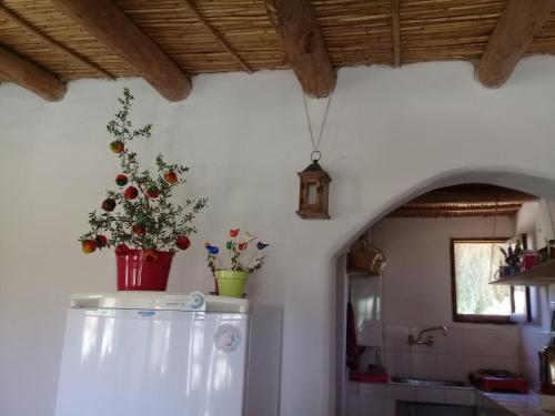 Lodge Caba�a El Card�n (campo Y Monta�as)