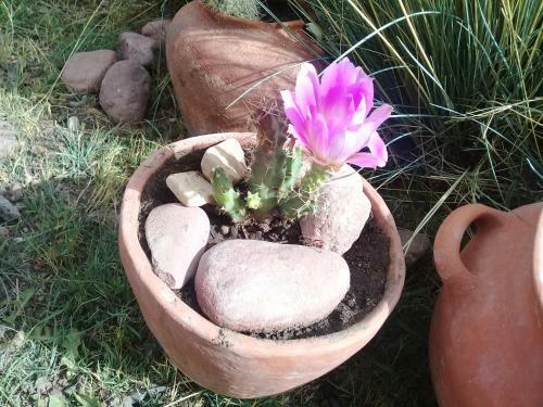 Lodge Caba�a El Card�n (campo Y Monta�as)