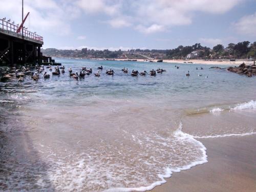 Lodge El Rincon De Las Pleyades