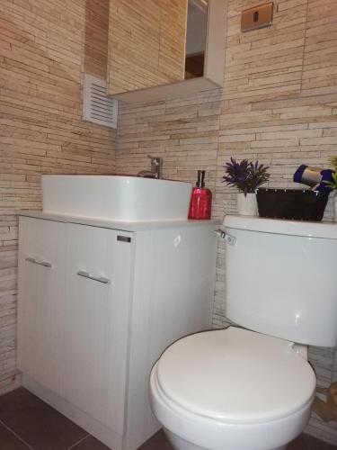 Apartamento Departamento Amoblado Diario Iquique