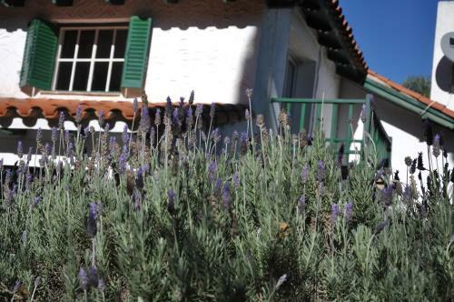 Bed & Breakfast Evergreen