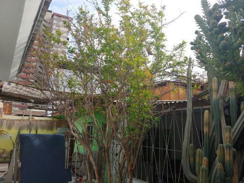 Habitaciones La Playa