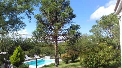 La Alquimia Casas De Campo