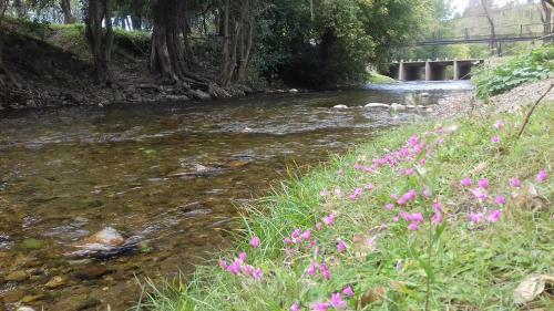 La Alquimia Casas De Campo