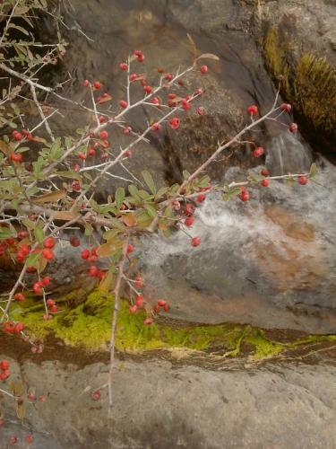 Apartamento Paloma Suite