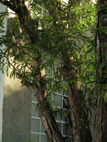 Apartamento Paloma Suite