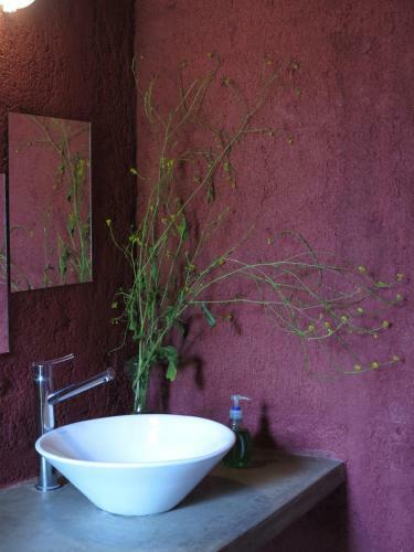 Apartamento Paloma Suite